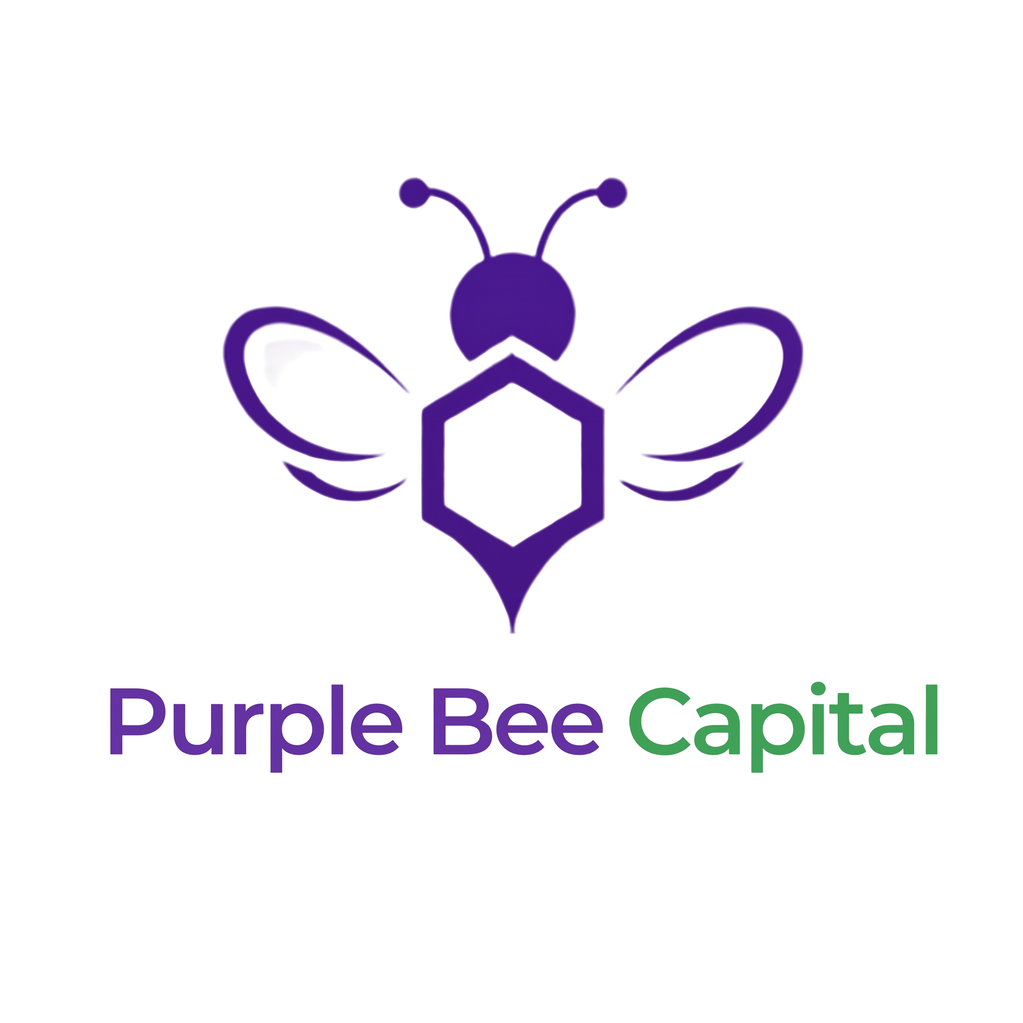 PurpleBee Capital logo
